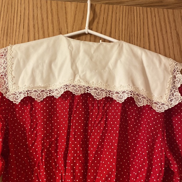 R.E.O. Originals Vintage Lace and Polka Dot Dress - Picture 5 of 5